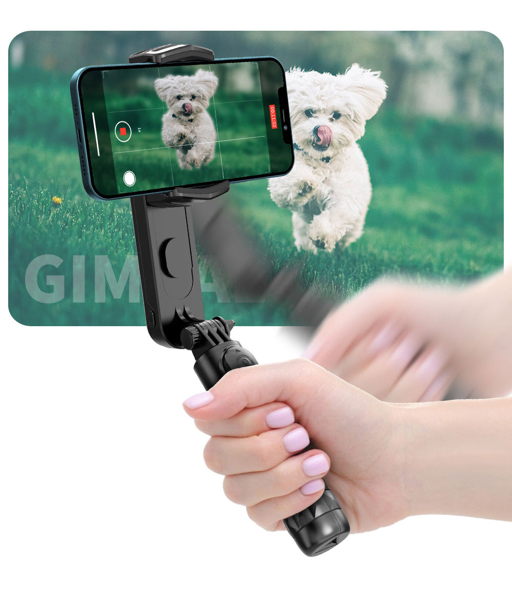 Devia - Handheld Gimbal Shake-Proof - Black