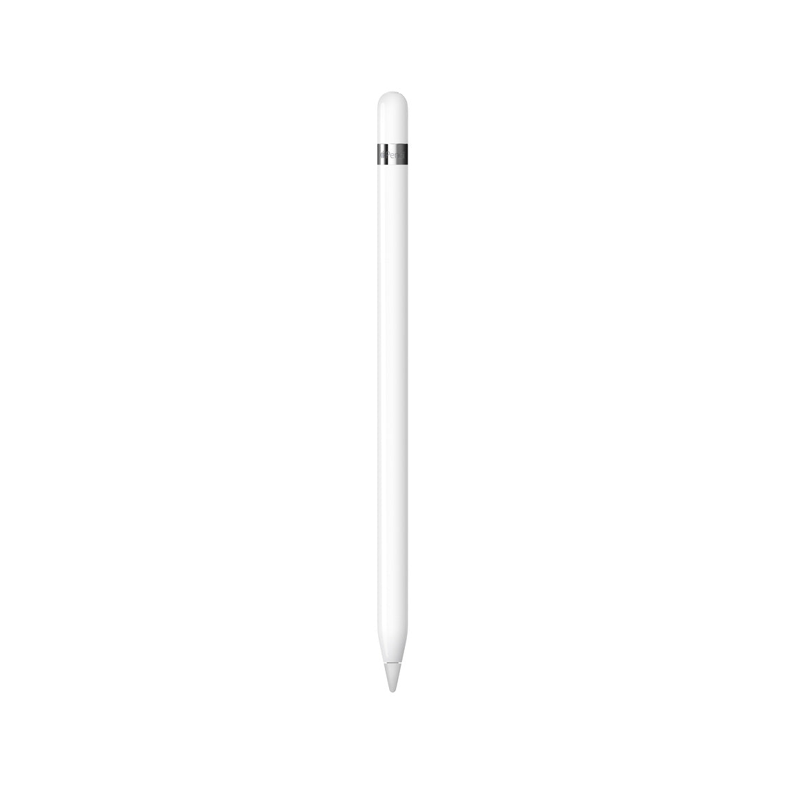 Apple Pencil - (1st Generation)