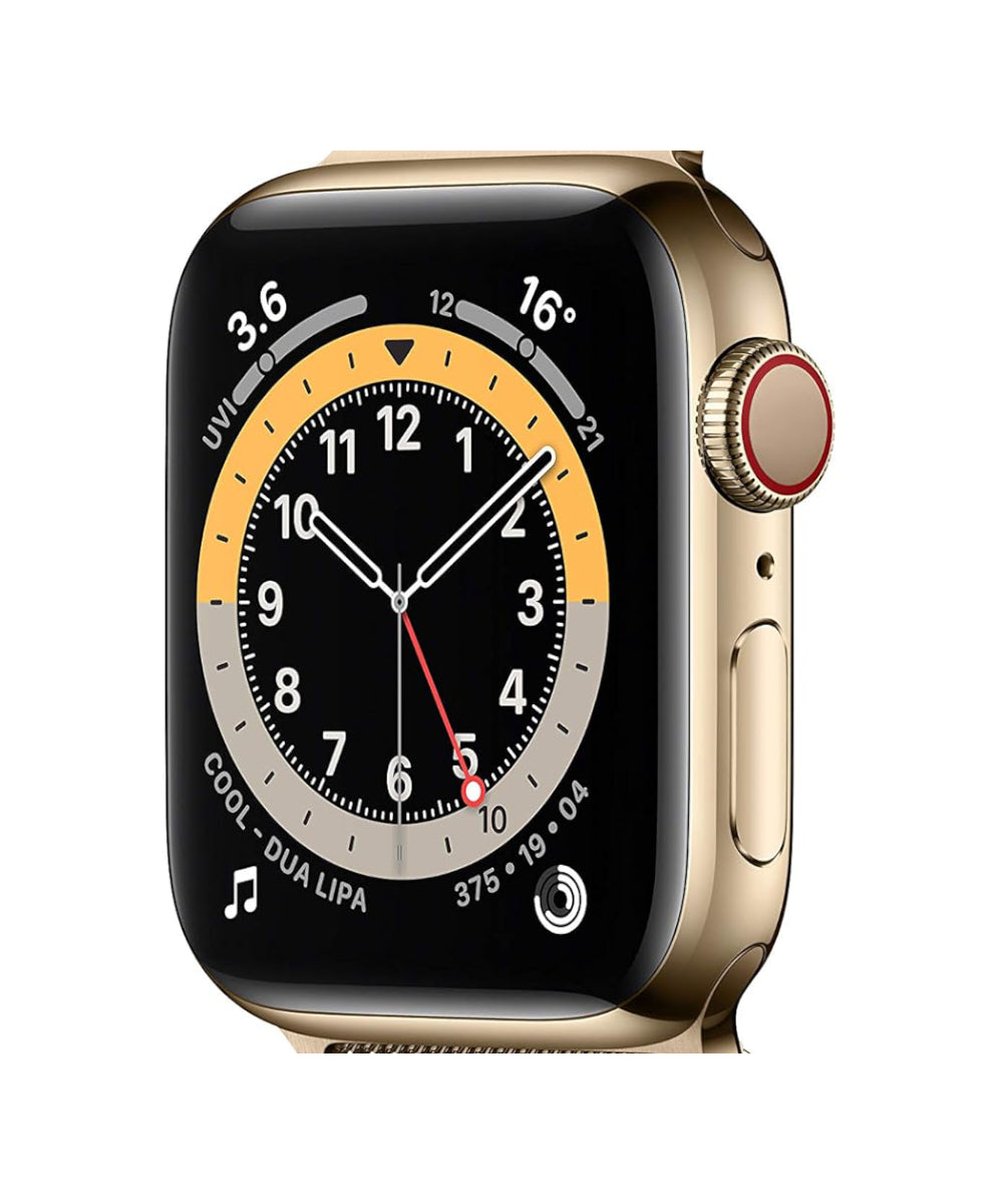 Apple Watch Series 6 Stainless Steel