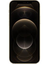 Apple iPhone 12 Pro